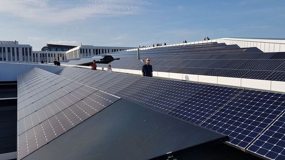 type mono cellules 500W 520W 530W 540W 440w de 144cells Perc Bifacial N du panneau solaire 100W 96